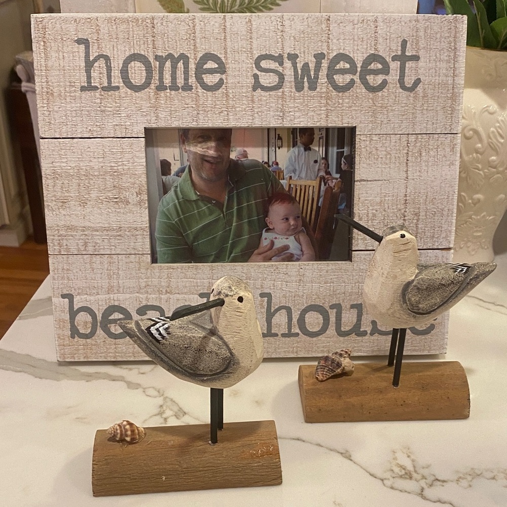 Coastal White Grey Pair of two Wood Seagulls🌊
